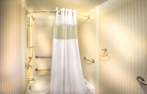 a bathroom with a shower with a shower curtain at Hampton Inn Washington in Washington