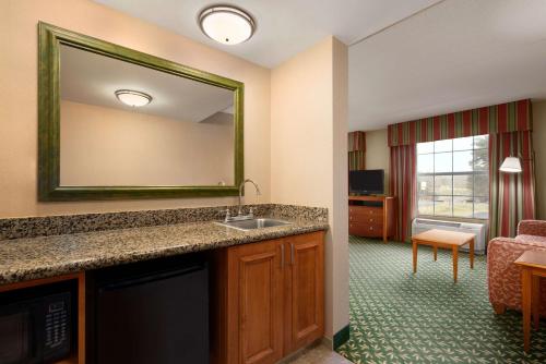 a hotel room with a sink and a mirror at Hampton Inn & Suites Williamsburg-Central in Williamsburg