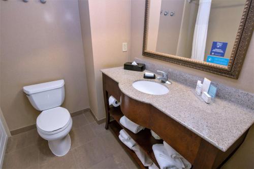 a bathroom with a toilet and a sink with a mirror at Hampton Inn & Suites Chesapeake-Battlefield Boulevard in Chesapeake