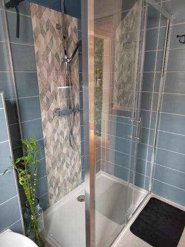 a shower with a glass door in a bathroom at Le Nid - Appartement avec extérieur in Epfig
