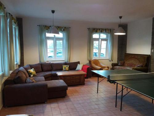 a living room with a couch and a ping pong table at Borovnička in Klein Borowitz