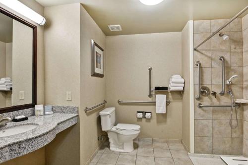 Bilik mandi di Hampton Inn Sayre