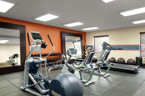 Γυμναστήριο ή/και όργανα γυμναστικής στο Hampton Inn and Suites Houston Pasadena