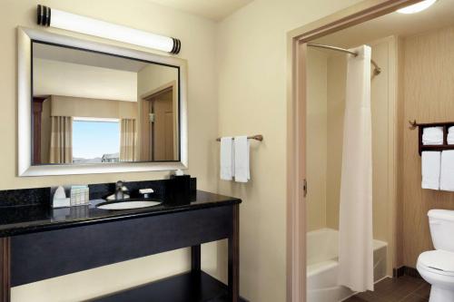 La salle de bains est pourvue d'un lavabo, de toilettes et d'un miroir. dans l'établissement Hampton Inn and Suites Houston Pasadena, à Pasadena