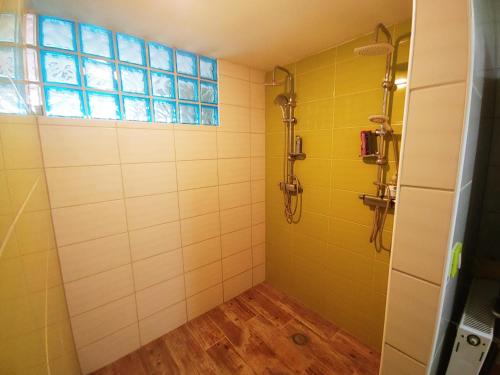 łazienka z prysznicem i oknem w obiekcie PIANO STUDIO w mieście Huncovce