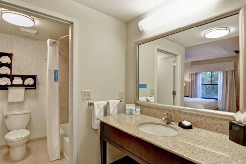 Hampton Inn Tunkhannockにあるバスルーム