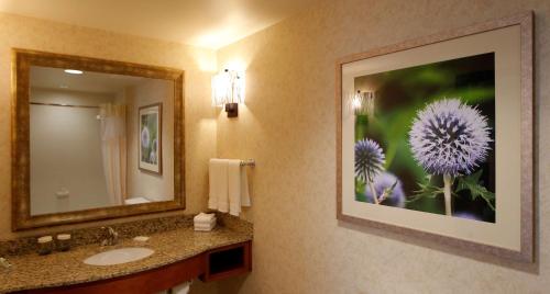 baño con lavabo y una foto en la pared en Hilton Garden Inn Cedar Falls Conference Center, en Cedar Falls