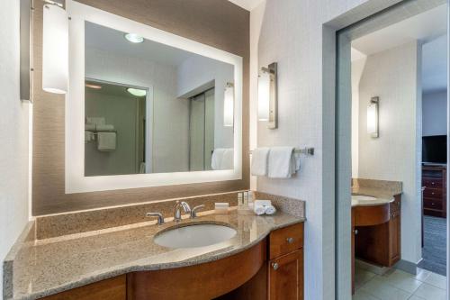 a bathroom with a sink and a large mirror at Homewood Suites by Hilton Albany in Albany