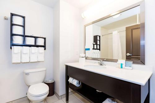 a bathroom with a sink and a toilet and a mirror at Hampton Inn and Suites Sandusky/Milan in Milan