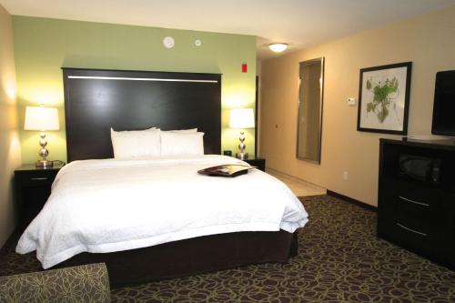 a hotel room with a large bed and a television at Hampton Inn and Suites Sandusky/Milan in Milan