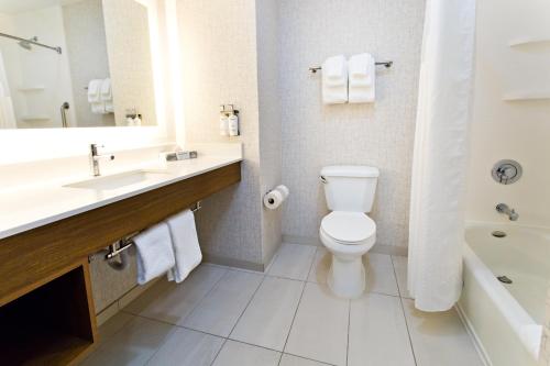 a bathroom with a toilet and a sink and a tub at Holiday Inn Express & Suites Sacramento NE Cal Expo, an IHG Hotel in Sacramento