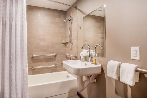Ένα μπάνιο στο DoubleTree by Hilton Atlanta Windy Hill Ballpark