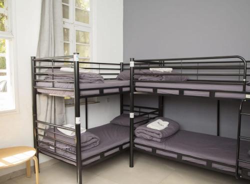 grupa łóżek piętrowych w pokoju w obiekcie Apartments BU93 w Tel Awiwie