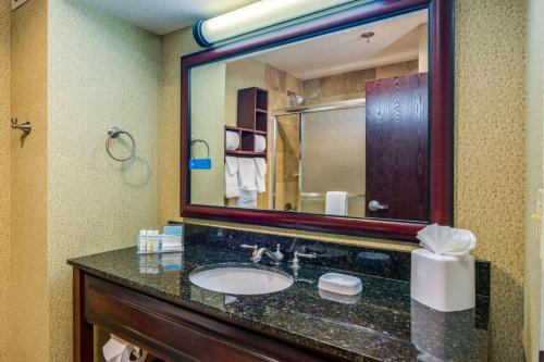 a bathroom with a sink and a mirror at Hampton Inn Johnson City in Johnson City
