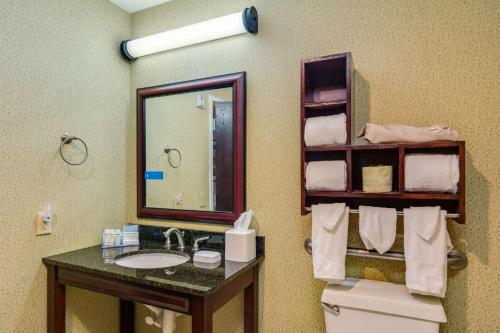 a bathroom with a sink and a mirror and a toilet at Hampton Inn Johnson City in Johnson City