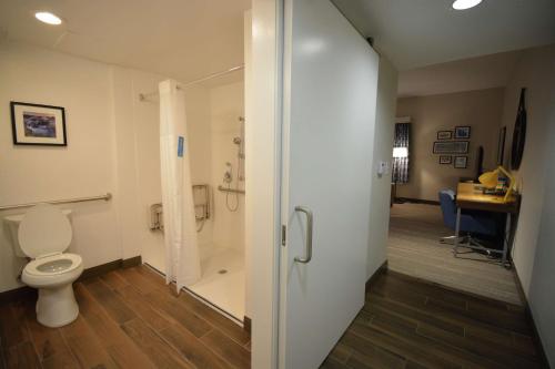 a bathroom with a toilet and a walk in shower at Hampton Inn Salem East - Electric Road in Salem
