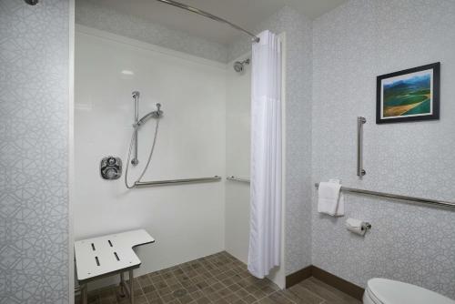 ein Bad mit einem WC und einer Dusche in der Unterkunft Hampton Inn Burley in Burley