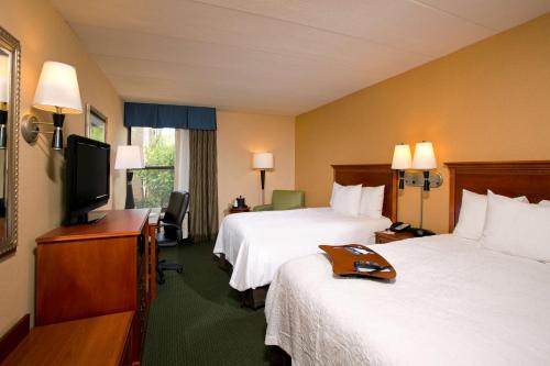 a hotel room with two beds and a flat screen tv at Hampton Inn Alexandria in Alexandria