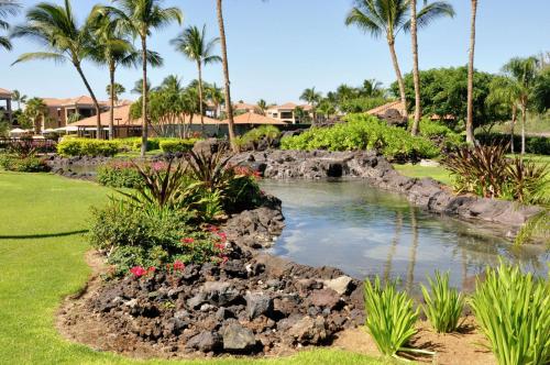 a pond in a yard with palm trees and plants at Hilton Grand Vacations Club Kohala Suites Waikoloa in Waikoloa
