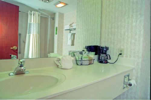 a bathroom counter with a sink and a mirror at Hampton Inn Birch Run in Birch Run