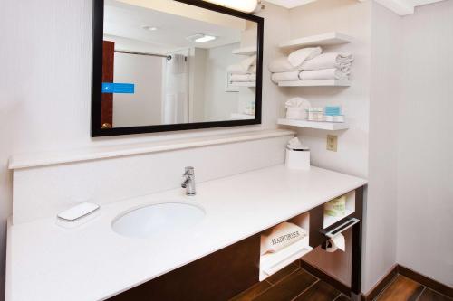 ein Bad mit einem Waschbecken und einem Spiegel in der Unterkunft Hampton Inn Birch Run in Birch Run