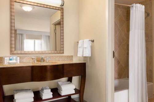 a bathroom with a sink and a mirror and a shower at Hampton Inn & Suites Washington-Dulles International Airport in Sterling