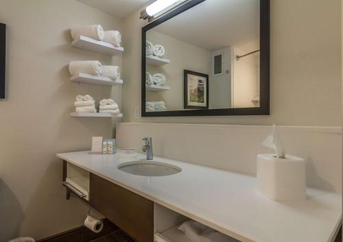 y baño con lavabo y espejo. en Hampton Inn Winchester-University/ Mall, en Winchester