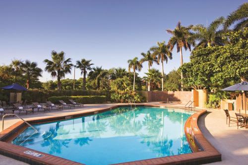 a swimming pool with chairs and palm trees at DoubleTree by Hilton Hotel Miami Airport & Convention Center in Miami