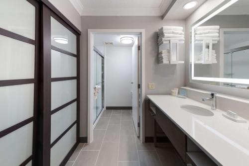 a bathroom with a sink and a mirror at Hampton Inn & Suites Chicago-Hoffman Estates in Hoffman Estates