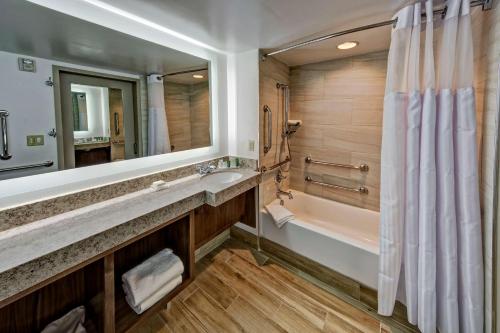 a bathroom with a tub and a sink and a shower at Hilton Knoxville Airport in Alcoa