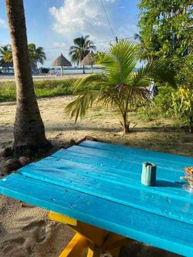 a blue bench on the beach with a palm tree at Anda Di Hows Hostel in Placencia Village