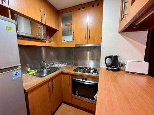 a small kitchen with a sink and a stove at Apartamentos City Centro Los Leones in Santiago