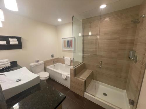 a bathroom with a shower and a toilet and a sink at Crystal Springs Lodge in Radium Hot Springs