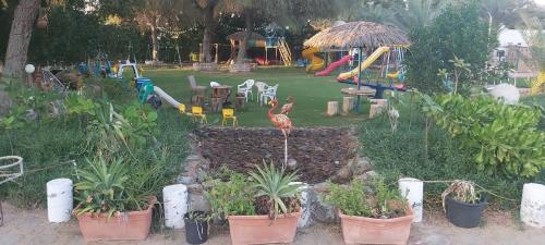Un jardín fuera de Al Maha Farm