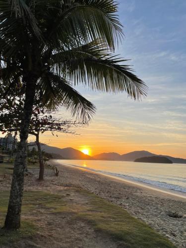 una palmera en una playa con puesta de sol en Massagua House, en Caraguatatuba