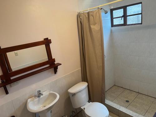 La salle de bains est pourvue de toilettes, d'un lavabo et d'une douche. dans l'établissement Posada Sierra Morena, 