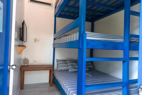 a bedroom with a bunk bed with blue bunk beds at Azul Zambales Beachfront House & River Cottages EXCLUSIVE in Cabangan
