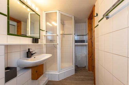 een badkamer met een wastafel en een douche bij Appartement EBB in Morsum