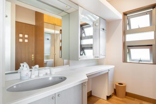 a bathroom with a sink and a mirror at AOI Sauna SPA & Dog Villa HAKODATE in Hakodate