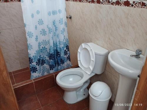ein Bad mit einem WC und einem Waschbecken in der Unterkunft Hospedaje Aurora in Oxapampa