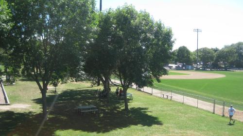 a park with two trees and a bench in the grass at 151 Sky Way Chatham Cape Cod- -Cape Time in Chatham