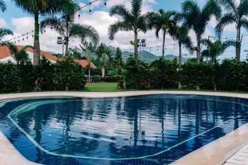a swimming pool with palm trees in the background at 3 Peaks Resort & Boutique Hotel in Lipa