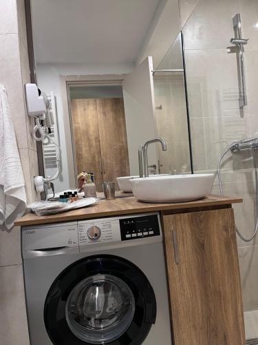 W łazience znajduje się pralka i umywalka. w obiekcie Luxury apartment with specticular views w mieście Gudauri