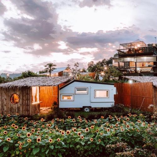 a caravan parked next to a field of sunflowers at Phu Morinn Cafe &Camping Monjam in Mon Jam