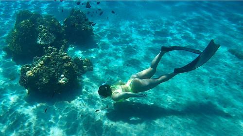 osoba pływa w oceanie obok rafy w obiekcie The Cozy Spot - Siquitour Tours And Accom w mieście San Juan