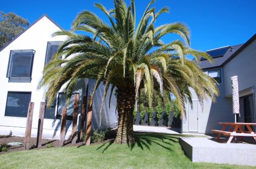a palm tree in front of a house at John and Jane's Beechworth in Beechworth