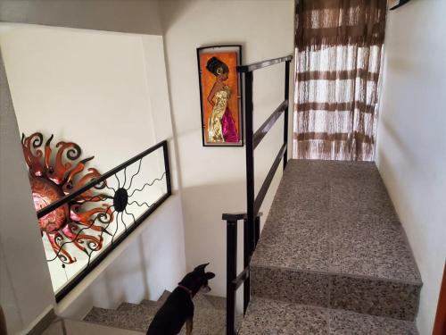 Un chat noir assis sur les escaliers d'une maison dans l'établissement Casa KOCH, à Manzanillo