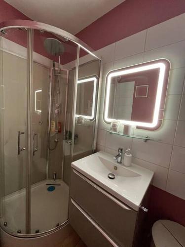 une salle de bain avec un lavabo, une douche et des toilettes dans l'établissement Cabane des Flamants YourHostHelper, à Gruissan