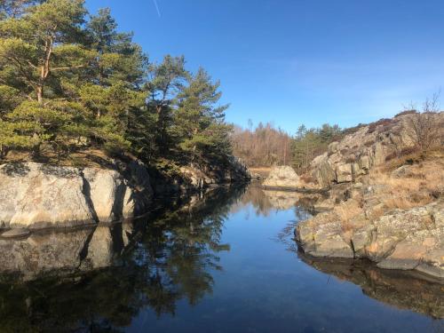 a river with trees on the side of it at Brightside Apartment in Kristiansand