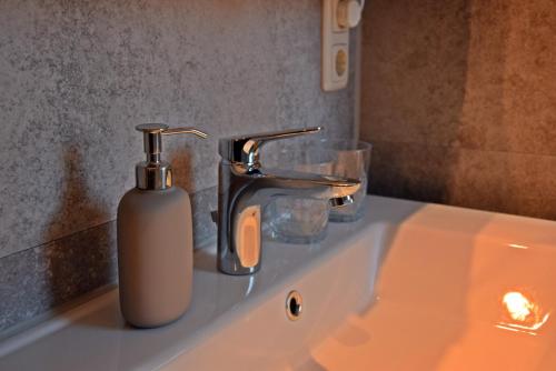 a bathroom sink with a bottle of soap and a faucet at Ferienwohnungen Straußenfarm Burkhardt in Schmölln